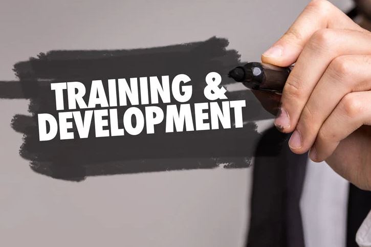 Training and Development